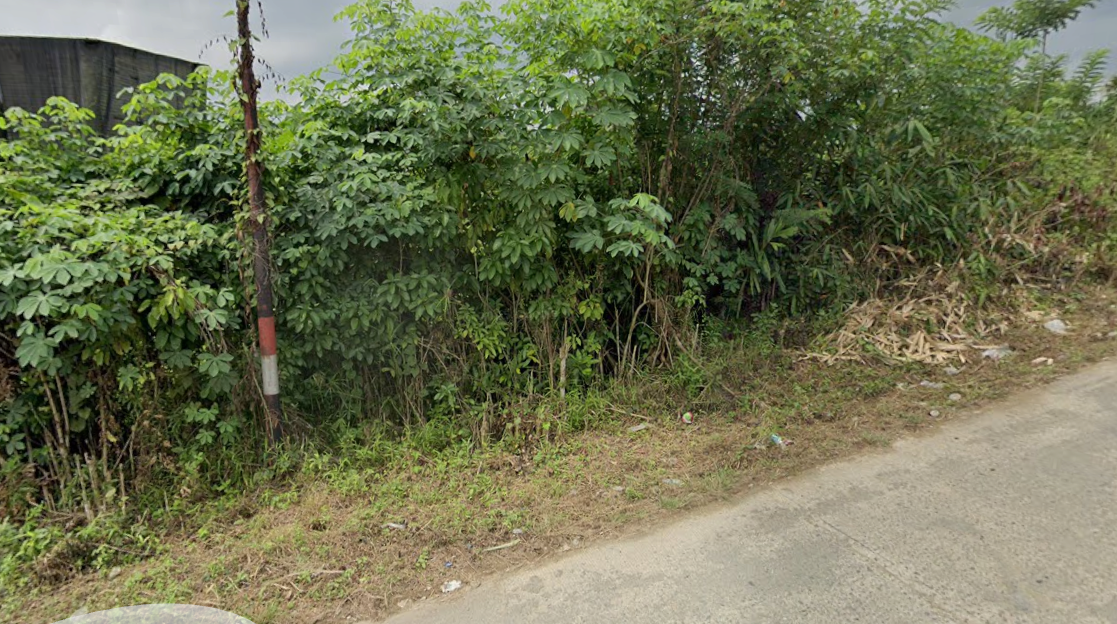 Koperasi Merah Putih